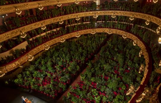 Plantas hacen de público en concierto de Barcelona