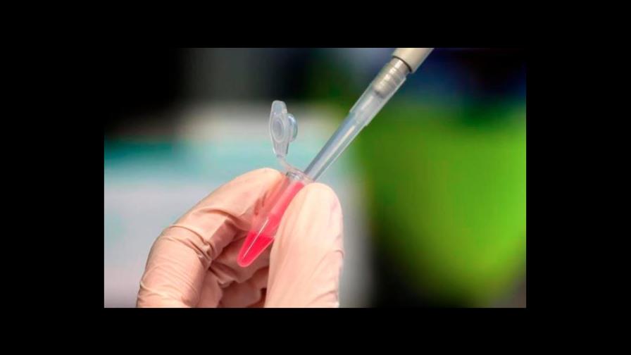 OMS: La gente no empezará a ser vacunada antes de primera parte de 2021 OMS: La gente no empezará a ser vacunada antes de primera parte de 2021