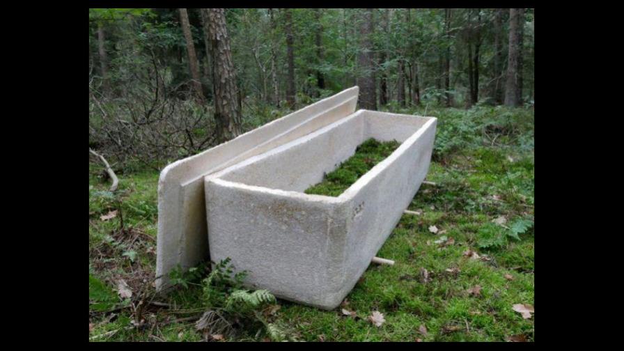 Fabrican en Holanda féretro a base de hongos para preservar la naturaleza  