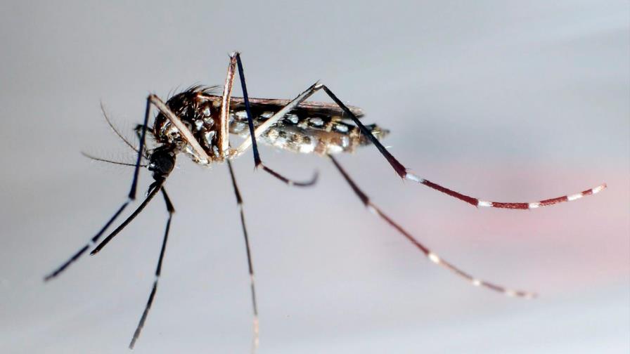 Brote de dengue en los cayos de Florida llega a 26 casos