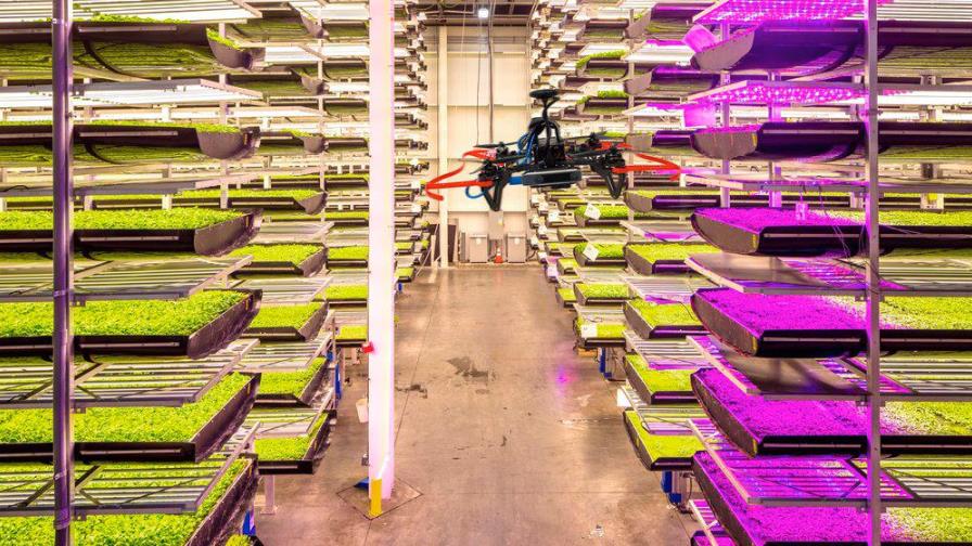 Granjas verticales: tecnología y el futuro de los cultivos  
