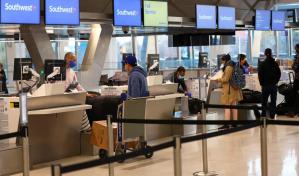 Rescatan a un gato que pasó 11 días en el techo de un aeropuerto en Nueva York