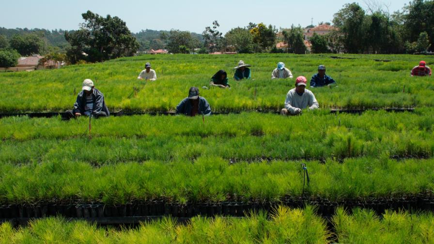 Hacienda y AFD acuerdan financiamiento para continuar el Plan Sierra Hacienda y AFD acuerdan financiamiento para continuar el Plan Sierra