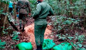 Medio Ambiente elimina plantación de 2,000 matas de aguacate en Sierra de Bahoruco