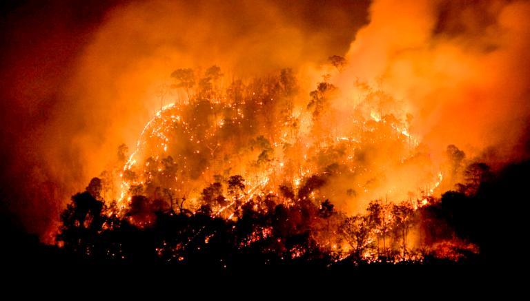 Incendio forestal en centro de Chile consume 2.630 hectáreas y 7 viviendas