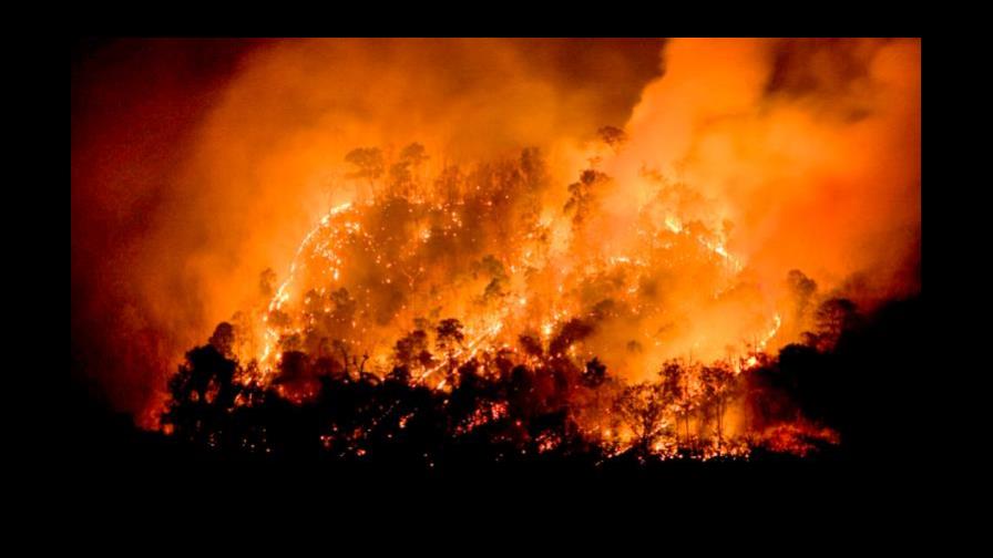 Incendio forestal en centro de Chile consume 2.630 hectáreas y 7 viviendas