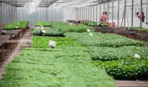 Confenagro realizará conferencia sobre producción agrícola y pecuaria en La Altagracia 