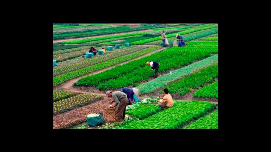 Por fertilizantes, asignarían  más recursos a Agricultura