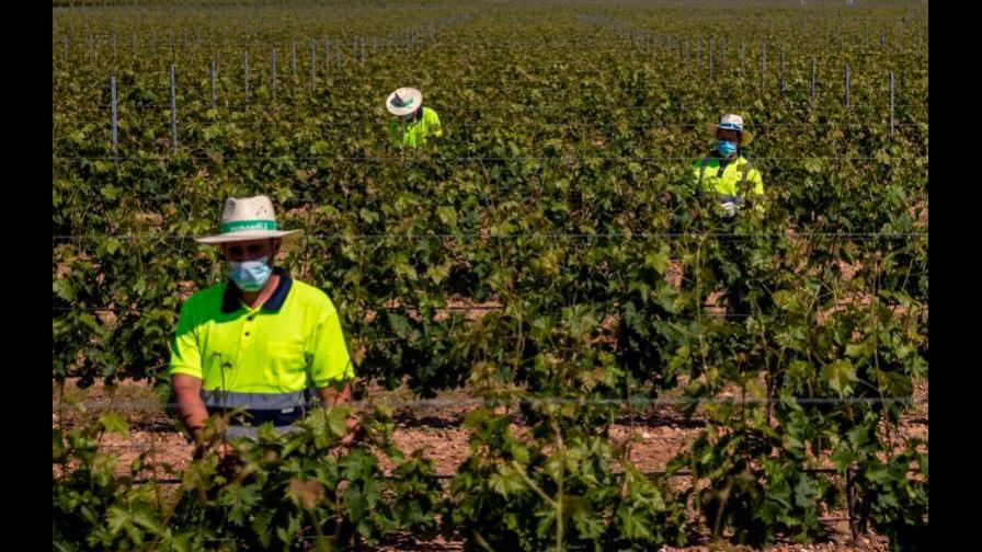 Las amenazas de EEUU abren un verano de desafíos comerciales agroalimentarios Las amenazas de EEUU abren un verano de desafíos comerciales agroalimentarios
