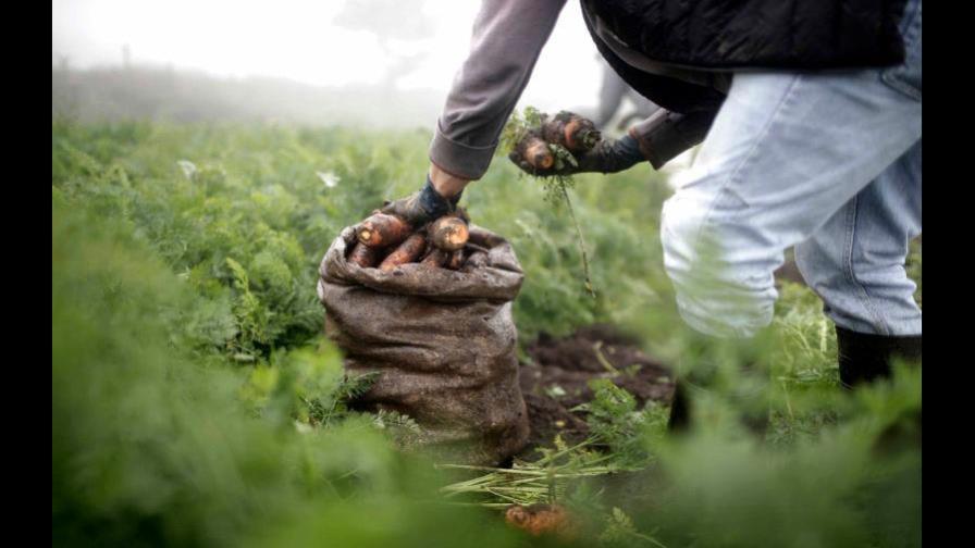 La próxima revolución agrícola en América Latina tendrá un sello digital