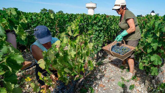 Francia llama a sus desempleados a ir al campo para trabajar en agricultura