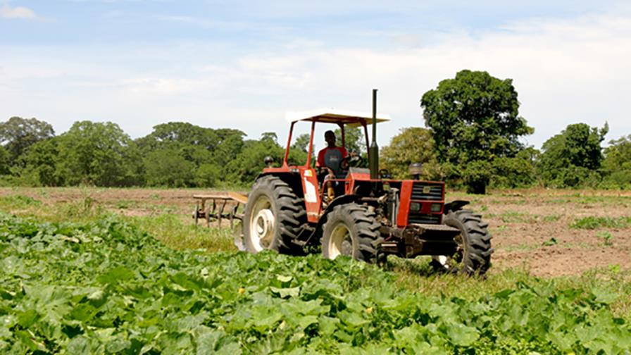 Más de 10,000 empleos en el campo se perdieron en 2018 Más de 10,000 empleos en el campo se perdieron en 2018