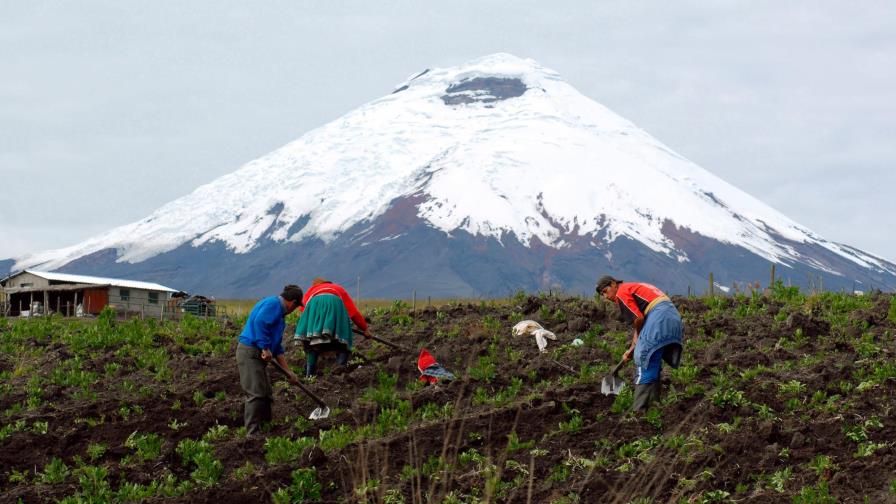 Instan a usar tecnología en agricultura para garantizar seguridad alimentaria