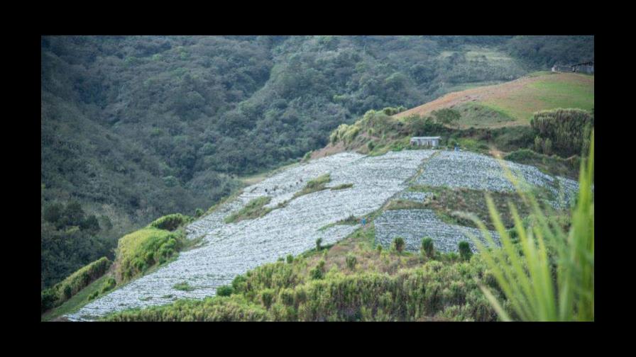 La agricultura sigue siendo la principal causa de destrucción de los hábitats en el país