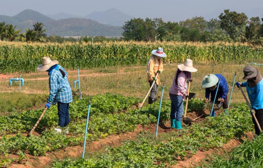 FAO propone más agricultura sostenible para encarar pandemia en Latinoamérica