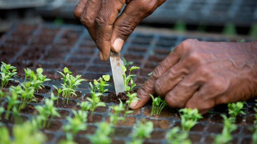 Imparten curso sobre principios para la inversión responsable en la agricultura