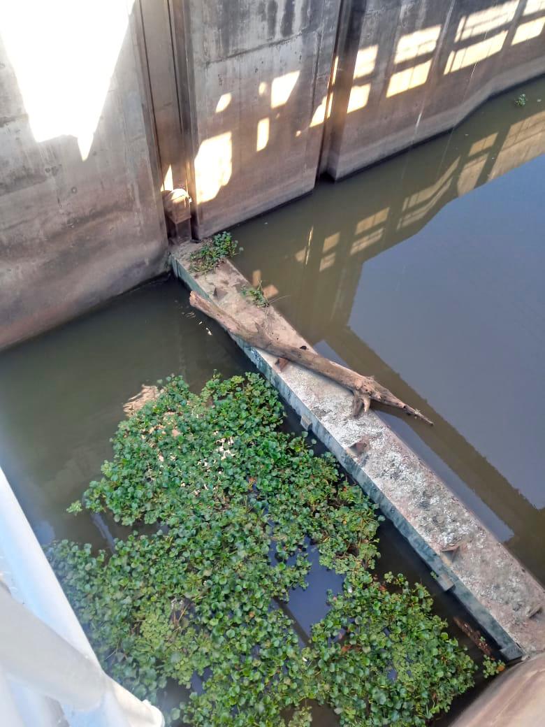 El bajo nivel de agua del río Ozama es una de la causa de la escasez. 