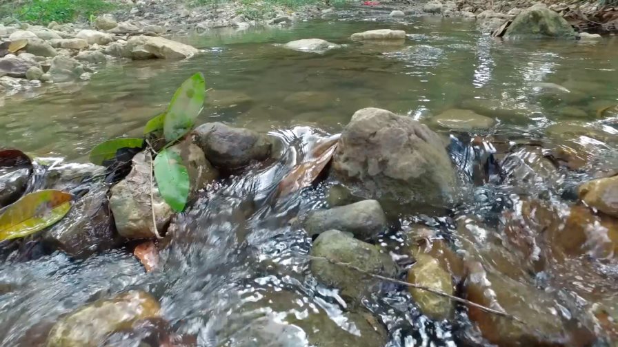 La FAO alerta del peligro de la mercantilización del agua en su Día Mundial