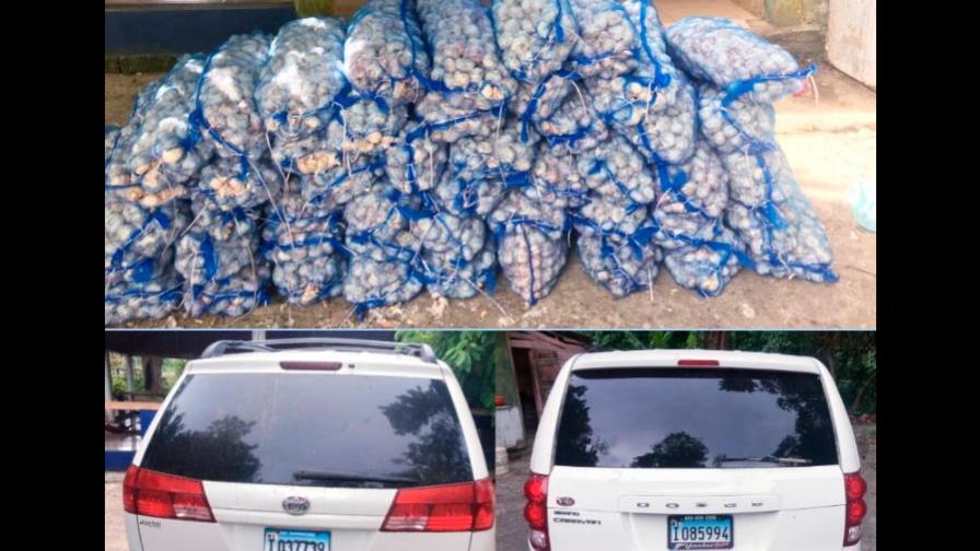 Abandonan dos vehículos cargados de ajo en Puerto Plata Abandonan dos vehículos cargados de ajo en Puerto Plata