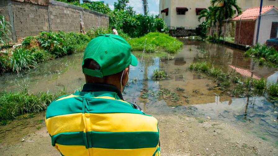 Los mosquitos puyan en residencial Álamo 