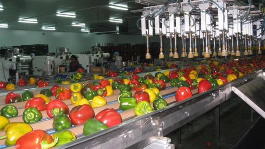 La UE y 21 países de OMC garantizarán el funcionamiento de cadena alimentaria