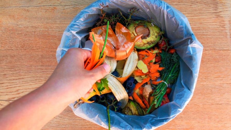 ONU: el mundo desperdició 931 millones de toneladas de alimentos en 2019
