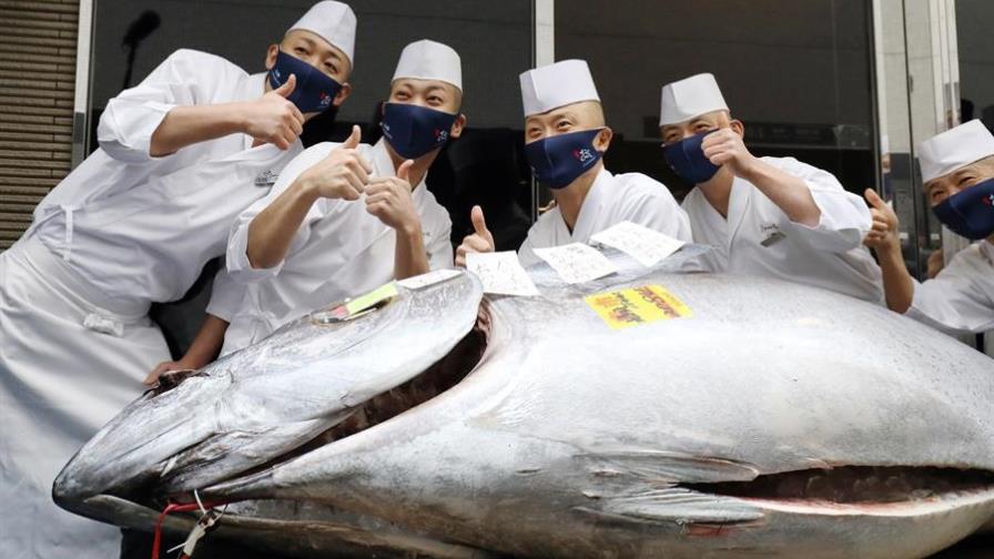 Un atún alcanza los 165,000 euros en la primera subasta del año en Toyosu
