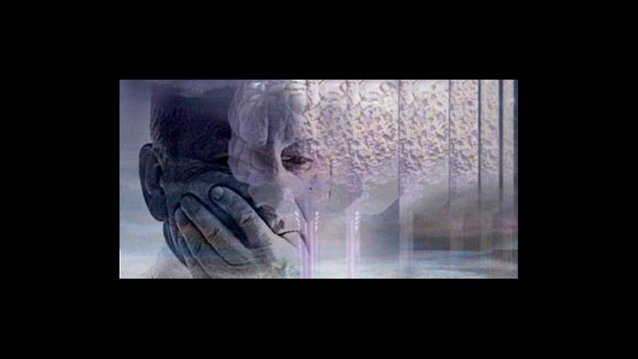 Descubren que permeabilidad capilar en el cerebro fomenta el Alzheimer