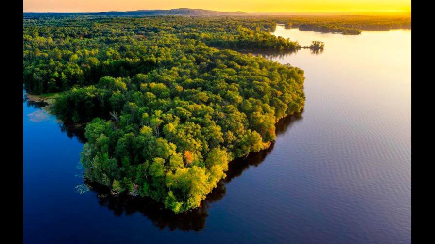 Amazonia pierde millones de toneladas de carbono debido a la deforestación