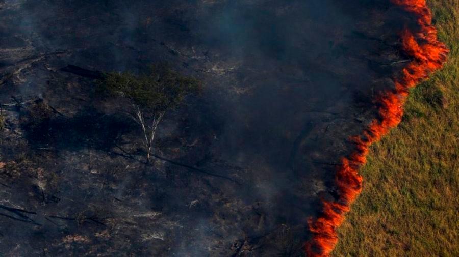 Esta imagen fue tomada en 2017 durante la operación Ola Verde, una quema controlada llevada a cabo por el instituto brasileño de Medio Ambiente IBAMA.