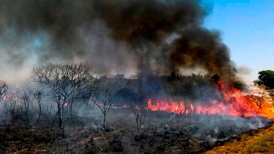 Empresas brasileñas temen reacción a crisis en la Amazonía Empresas brasileñas temen reacción a crisis en la Amazonía