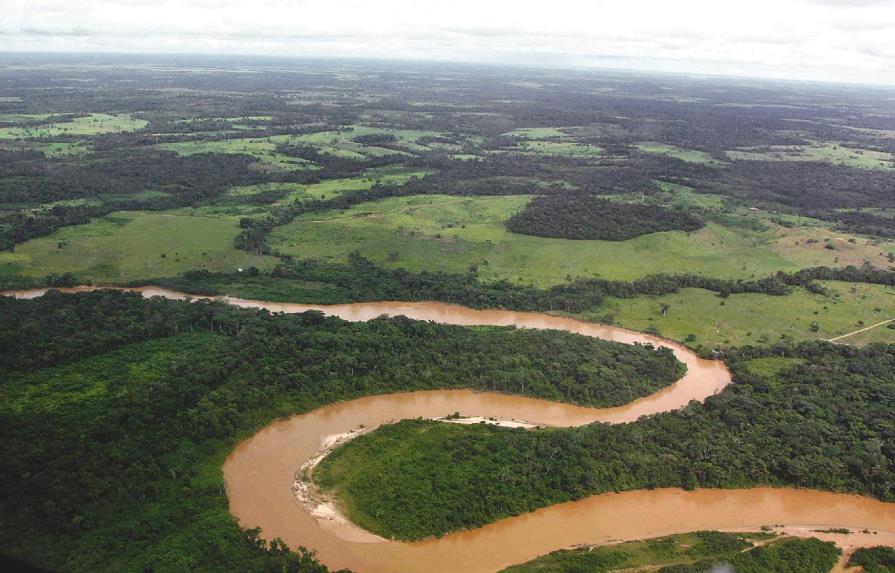 La Unesco premia un proyecto para el desarrollo sostenible en el Amazonas