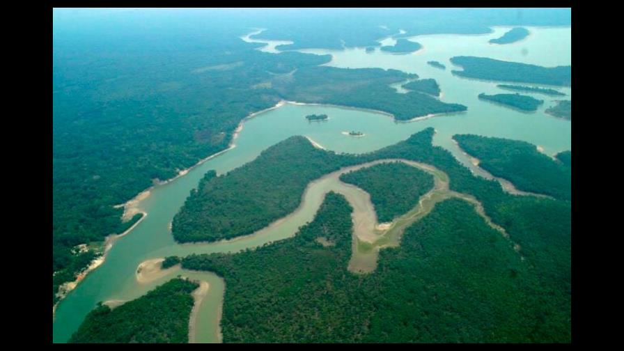 Algunas zonas del Amazonas emiten más carbono del que absorben