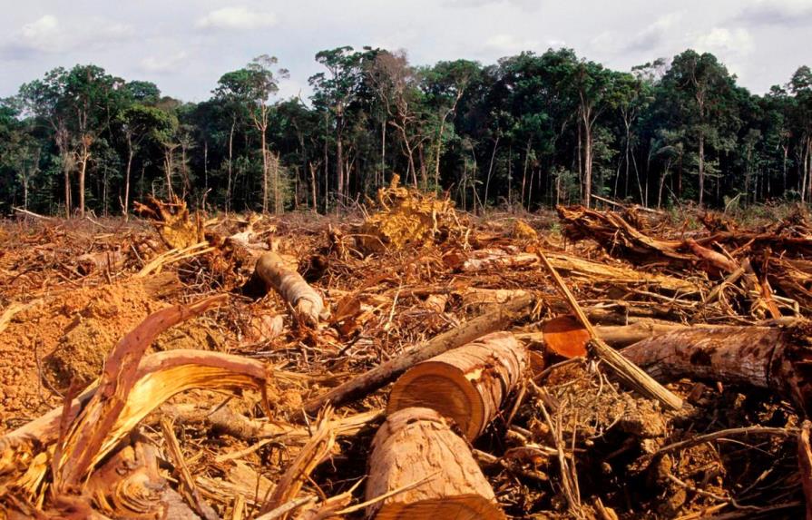 Alertas de deforestación en la Amazonía brasileña registran récord en mayo