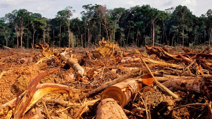 Alertas de deforestación en la Amazonía brasileña registran récord en mayo Alertas de deforestación en la Amazonía brasileña registran récord en mayo