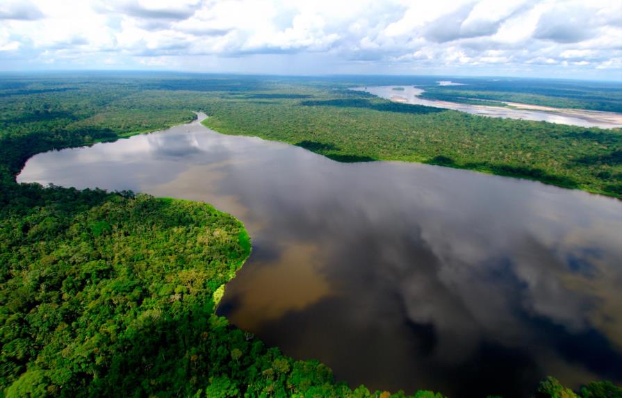 En jaque la seguridad climática del planeta por la destrucción de la Amazonía