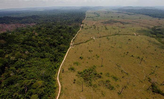 La deforestación en la Amazonia de Brasil subió un 20%