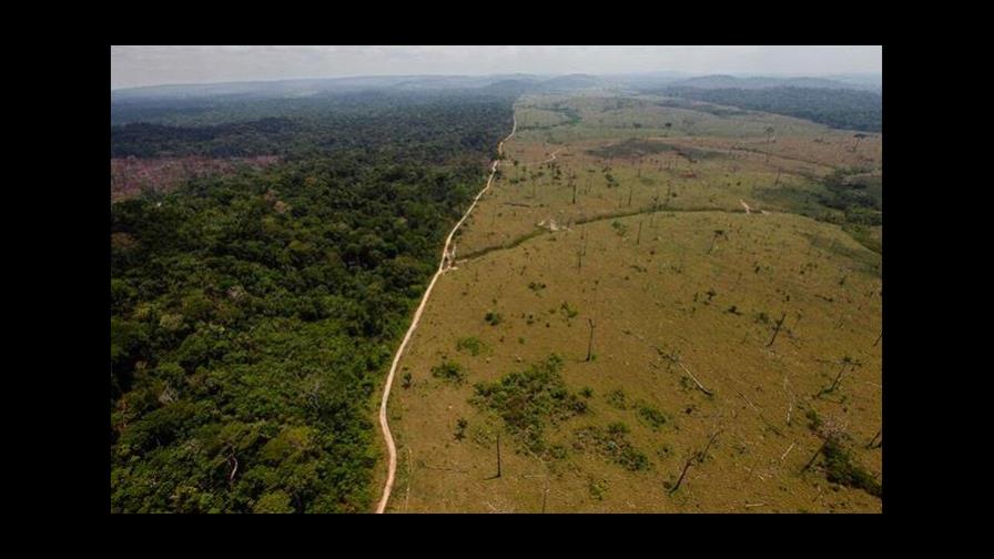 La deforestación en la Amazonia de Brasil subió un 20%