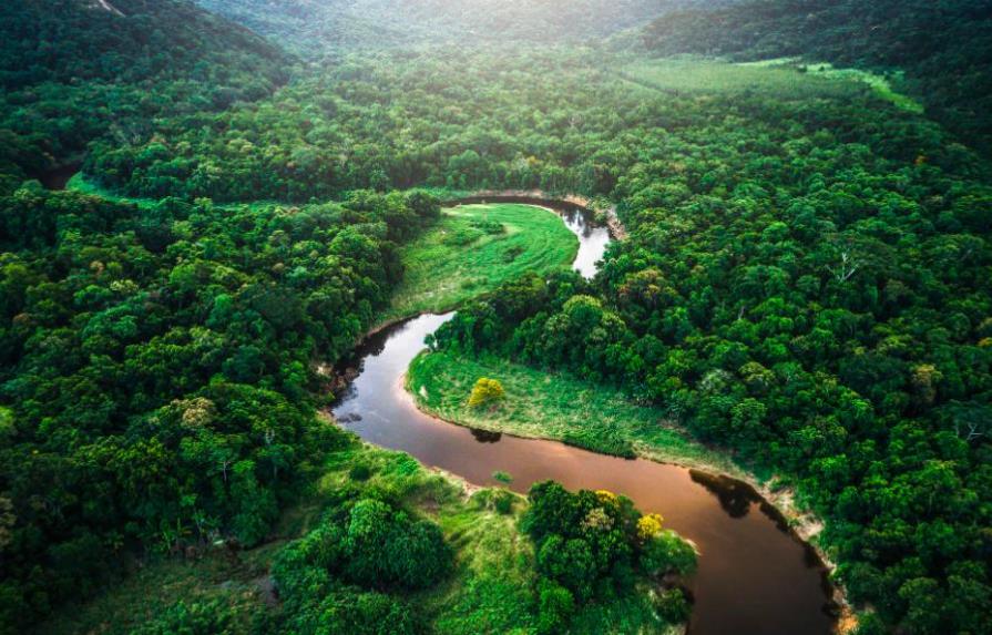 La deforestación avanza en la Amazonía brasileña y escala un 278 % en julio