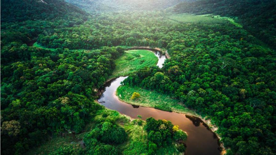 La deforestación avanza en la Amazonía brasileña y escala un 278 % en julio La deforestación avanza en la Amazonía brasileña y escala un 278 % en julio