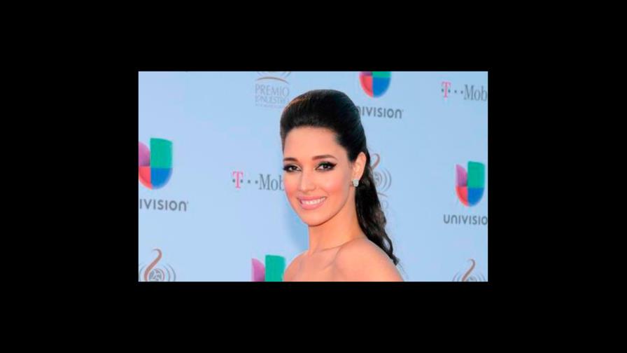 La opinión de Amelia Vega sobre la protesta frente a la JCE La opinión de Amelia Vega sobre la protesta frente a la JCE