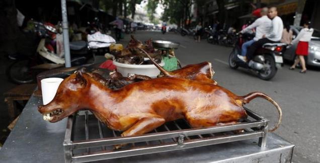 La fiesta de la carne de perro en China, víctima colateral del coronavirus