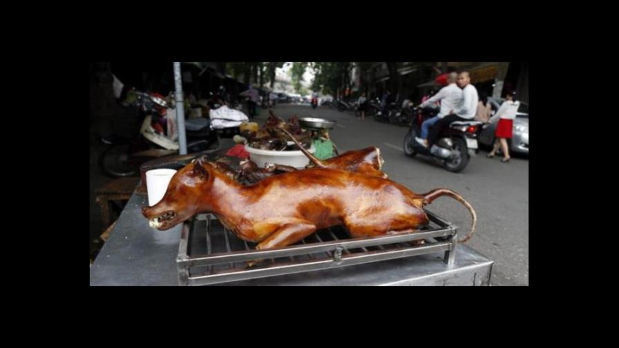 La fiesta de la carne de perro en China, víctima colateral del coronavirus