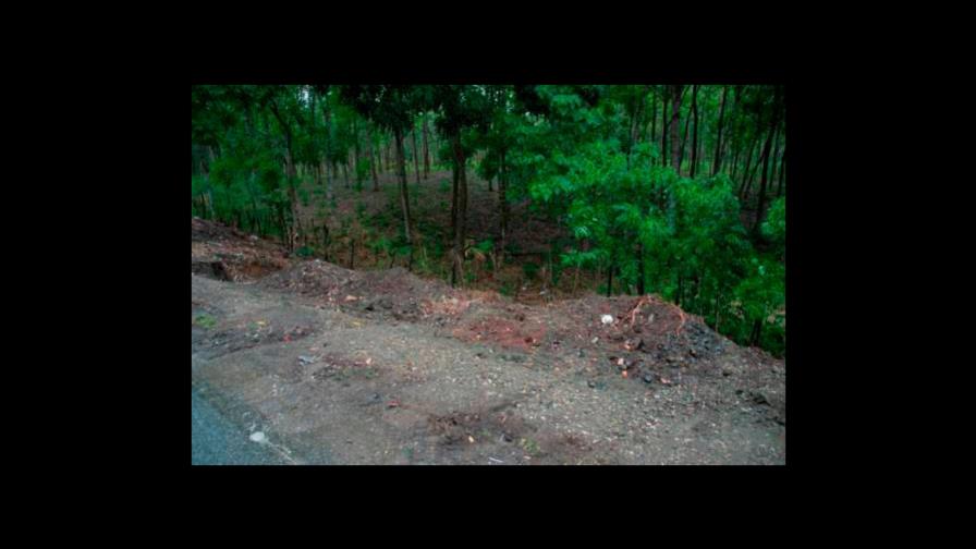 A un mes de hallazgo de perros muertos, no hay responsables