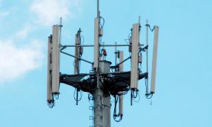 Los consumidores: la gallina de los huevos de oro del fisco dominicano