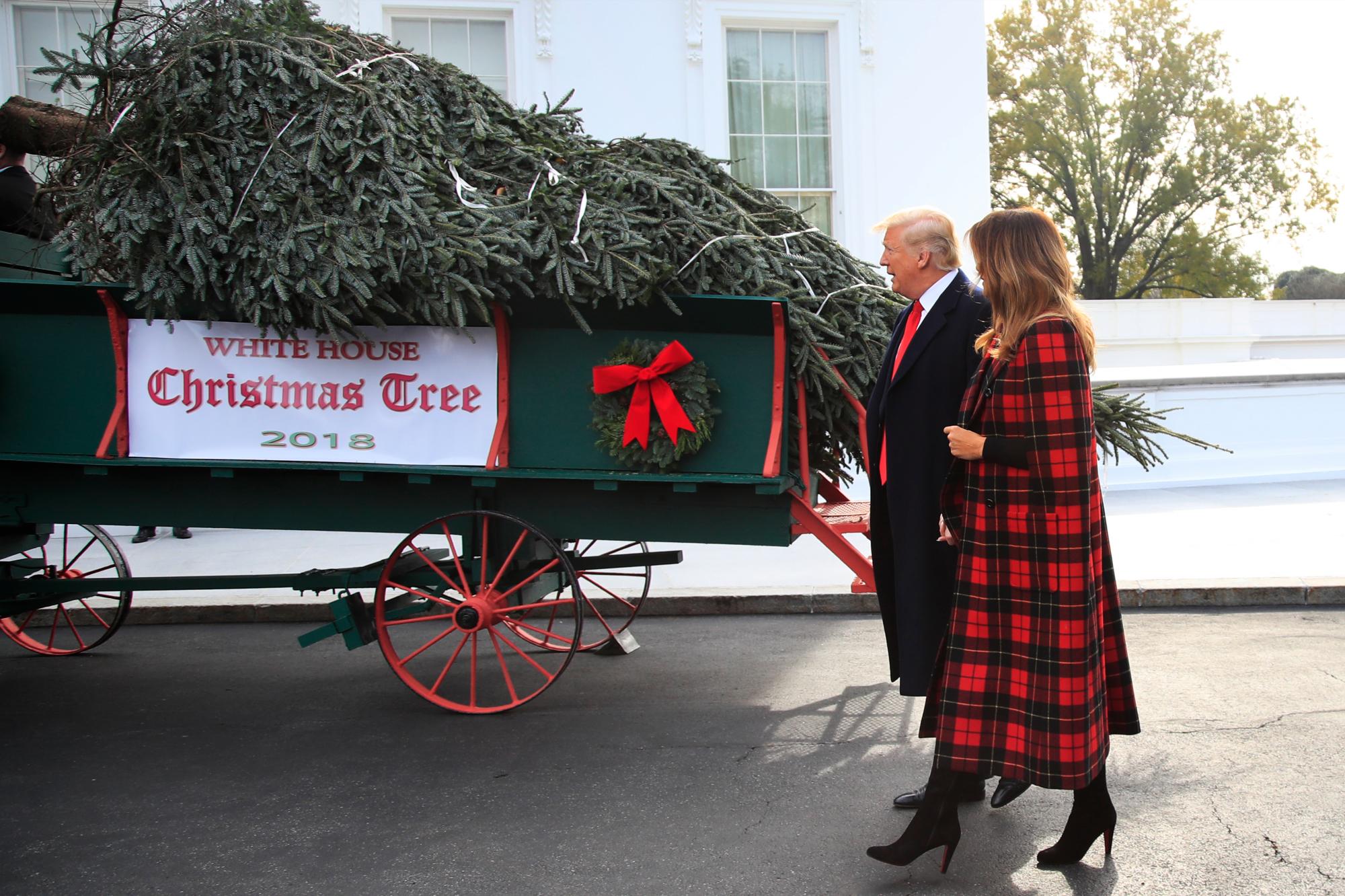 El presidente Donald Trump y la primera dama Melania Trump reciben el Árbol de Navidad de la Casa Blanca, en el pórtico norte de la Casa Blanca, en Washington, el lunes 19 de noviembre de 2018. El arbolde 19 1/2 pies de altura, cultivado en Carolina del Norte. Se exhibirá en la Sala Azul de la Casa Blanca.