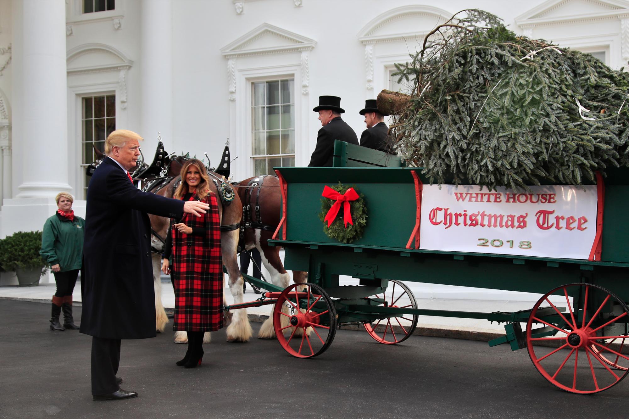 El presidente Donald Trump y la primera dama Melania Trump reciben el Árbol de Navidad de la Casa Blanca, en el pórtico norte de la Casa Blanca, en Washington, el lunes 19 de noviembre de 2018. El arbol de 19 1/2 pies de altura, cultivado en Carolina del Norte. Se exhibirá en la Sala Azul de la Casa Blanca.