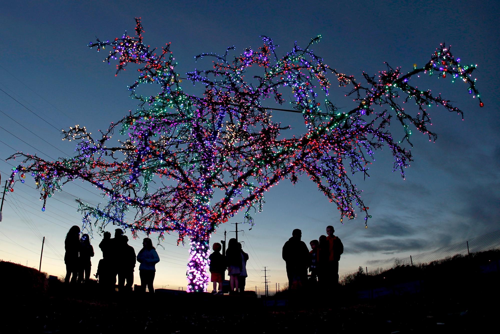 La gente se reúne alrededor de un árbol de cangrejo decorado con más de 20,000 luces en Lee’s Summit, Mo. Conocido como el árbol mágico de Lee’s Summit, es un solo árbol en un lote baldío a lo largo de una autopista y atrae a cientos de visitantes cada temporada de vacaciones.