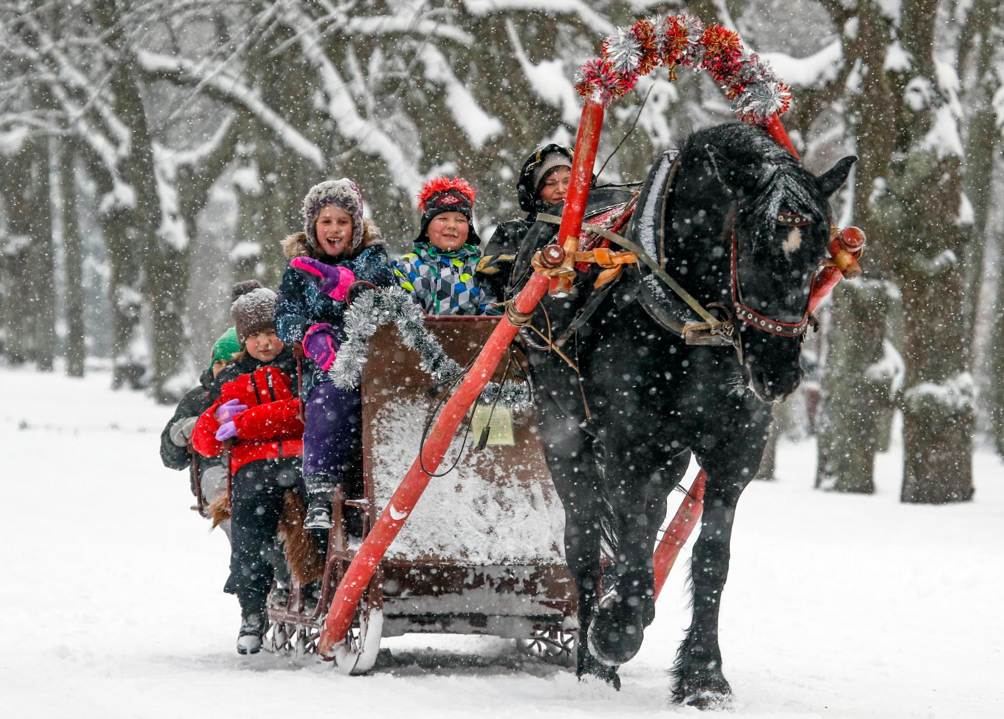 Los niños montan un trineo de caballos en la nieve en un parque en Pavlovsk, en las afueras de San Petersburgo, Rusia.