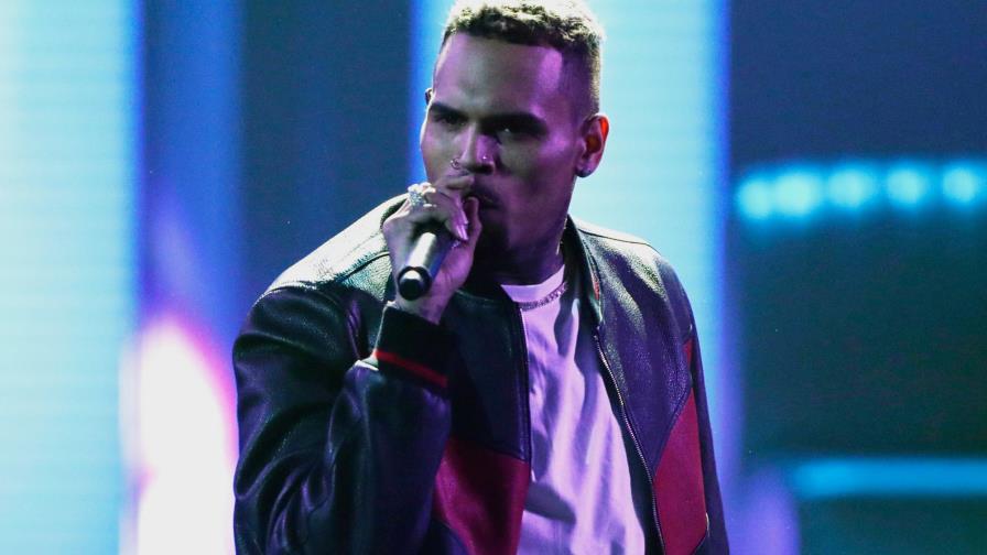 Chris Brown enfrenta cargos menores relacionados con un mono